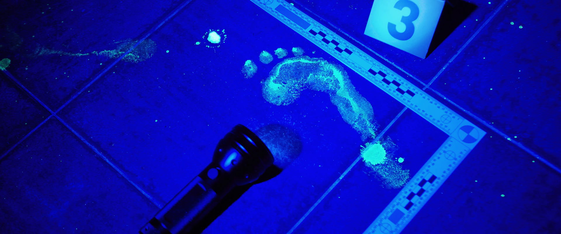 Forensic Files
