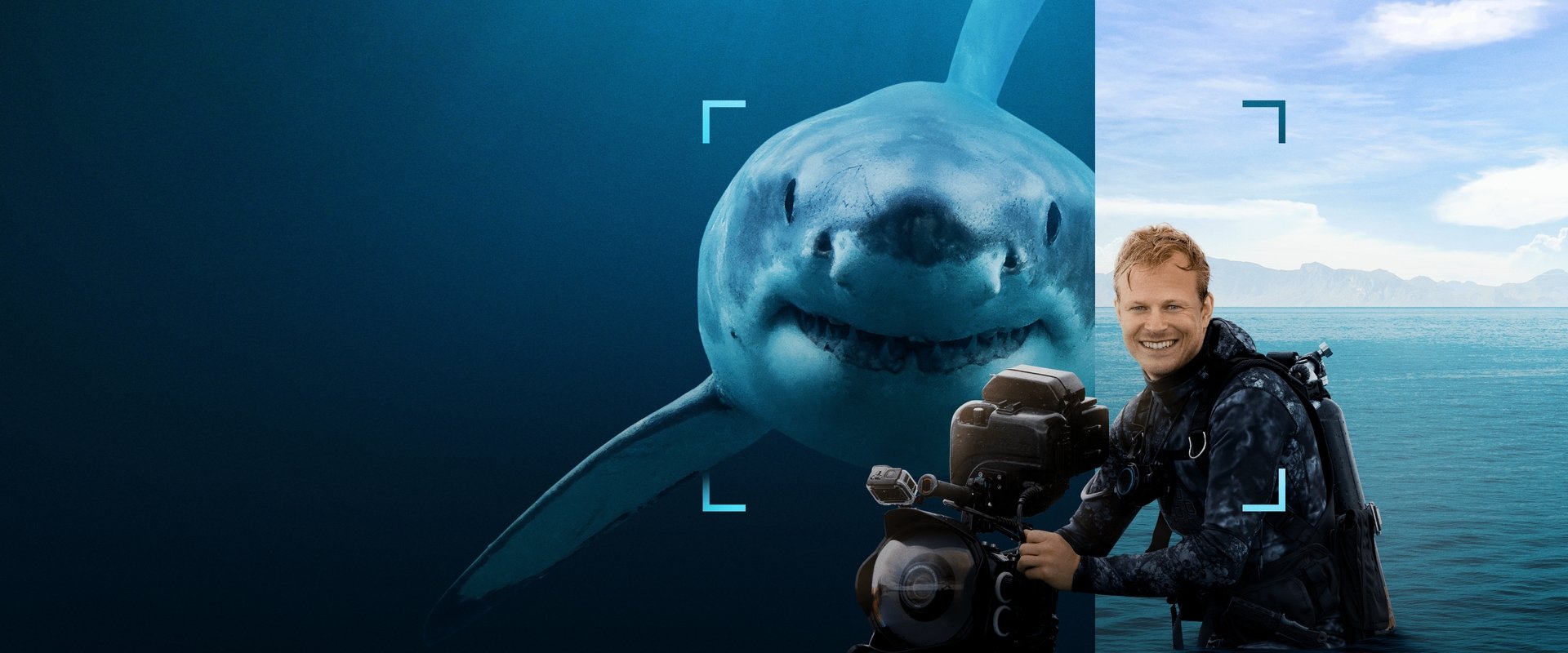 Sharks Up Close with Bertie Gregory