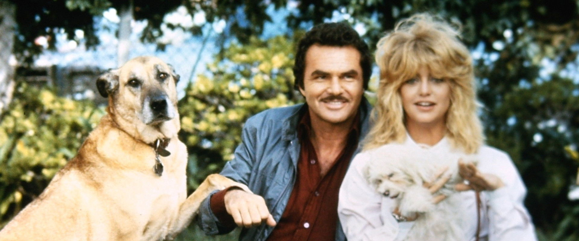 Best Friends backdrop