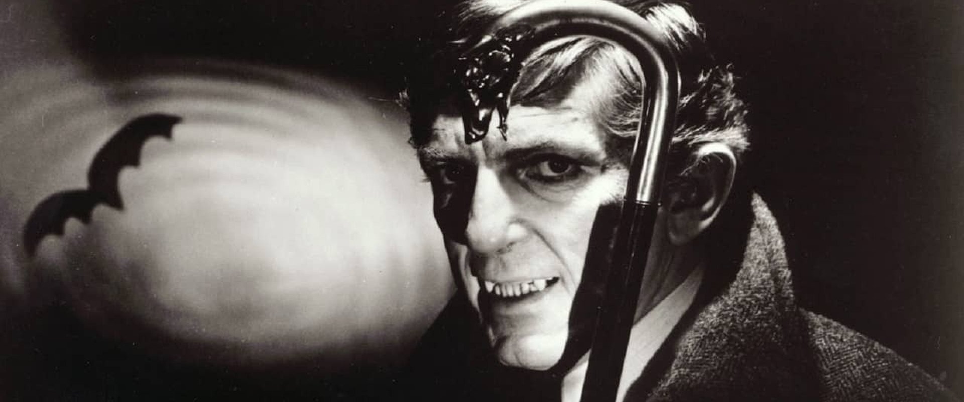 Dark Shadows