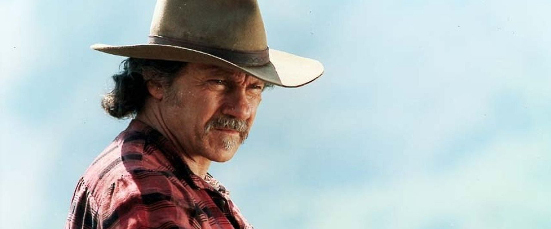 Gunslinger's Revenge backdrop