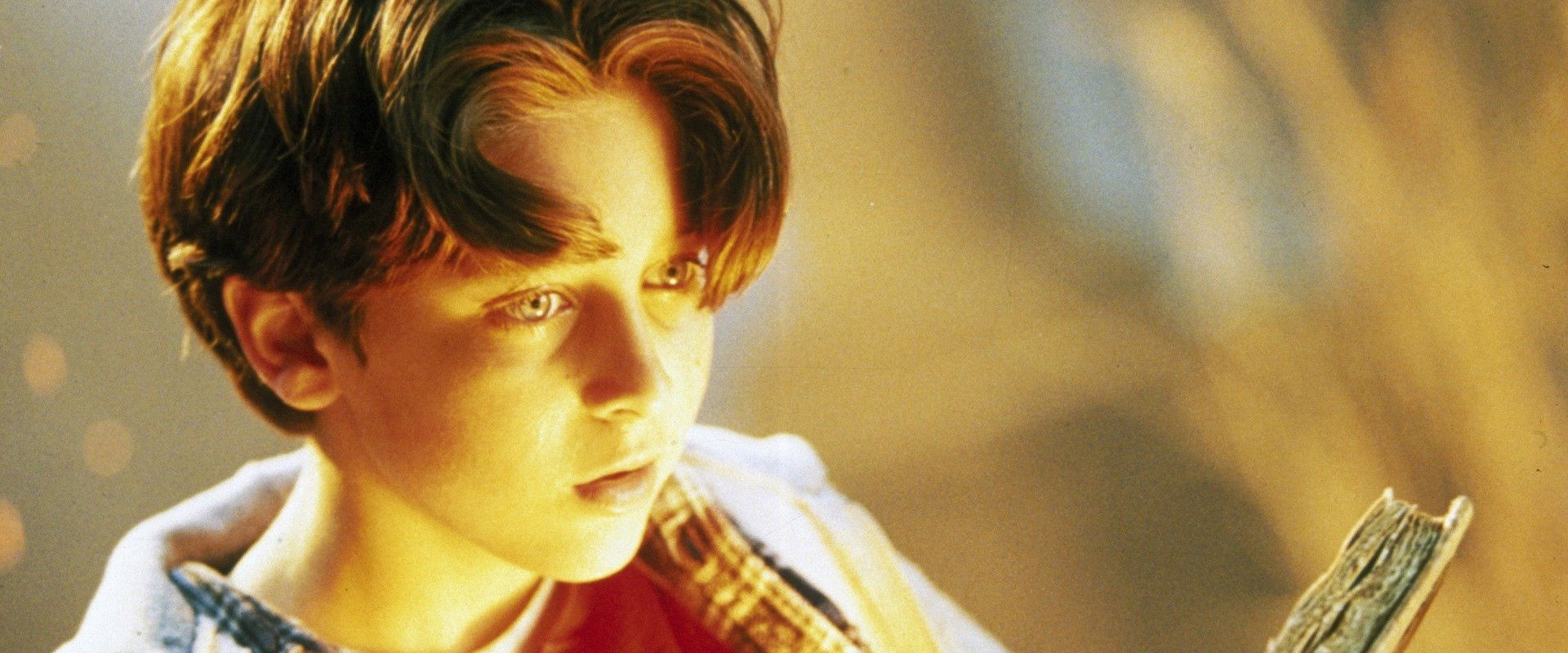 Warriors of Virtue backdrop