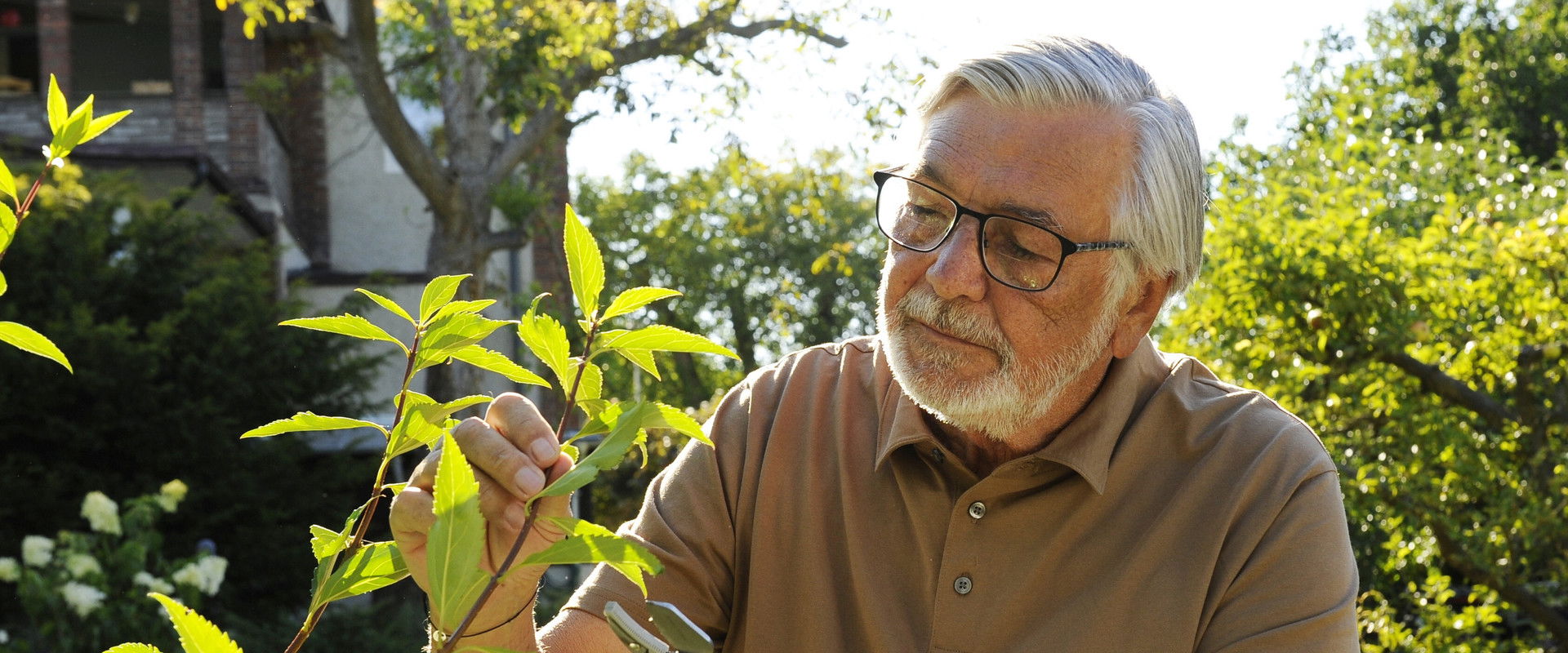 Zbožňovaný backdrop