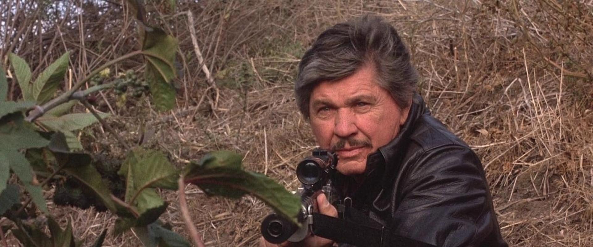 Death Wish 4: The Crackdown backdrop