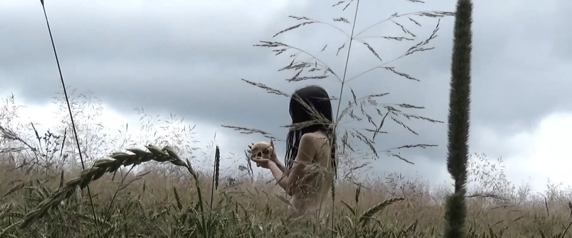 Solitude of the Tormentors backdrop