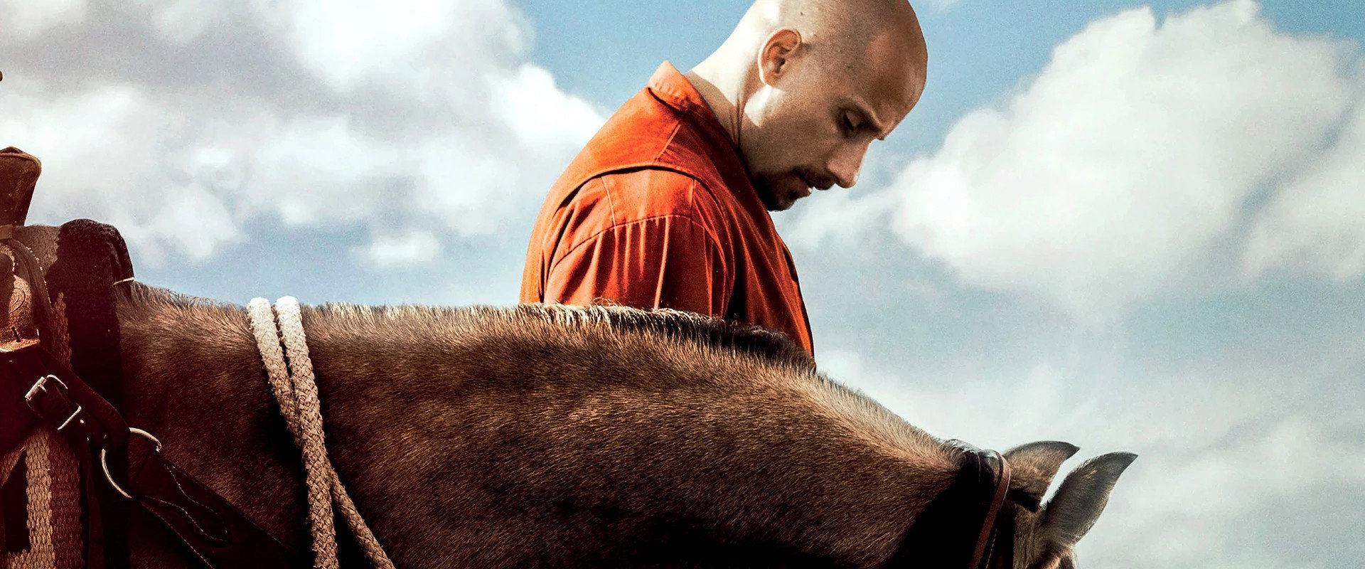 The Mustang backdrop