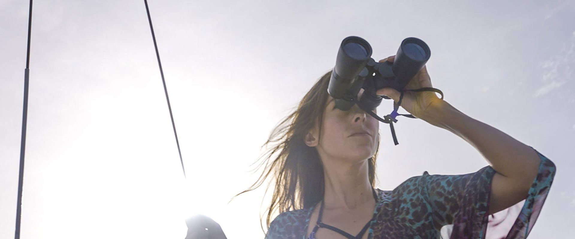 Sea of Lies backdrop