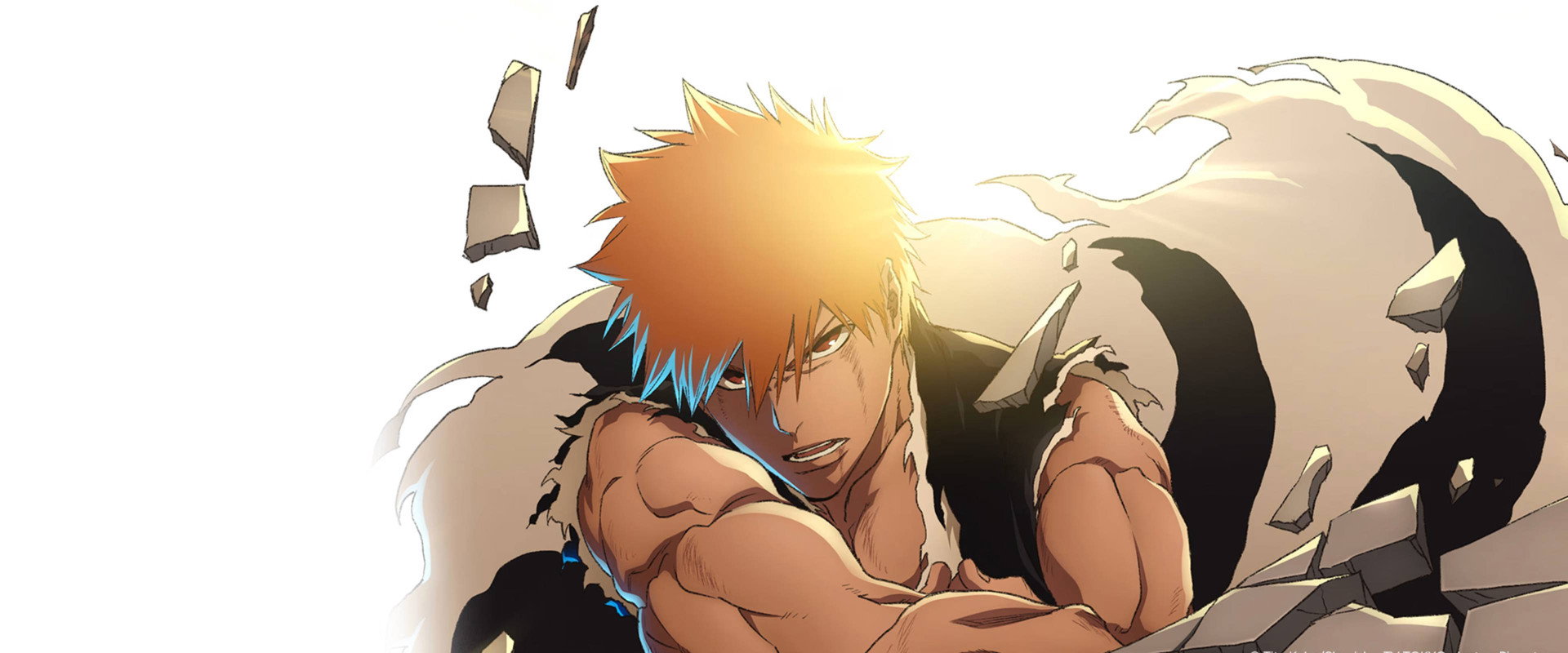 Bleach: Thousand-Year Blood War – The Calamity backdrop