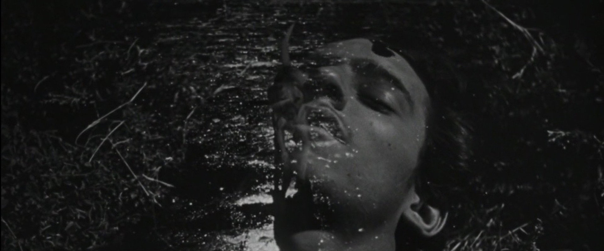 The Young and the Damned backdrop