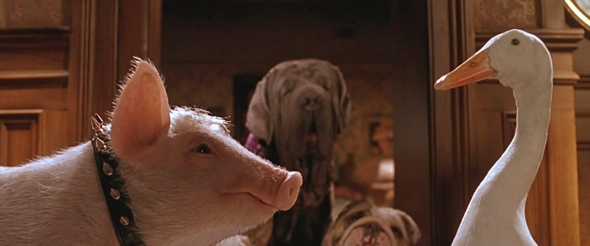 Babe: Pig in the City backdrop