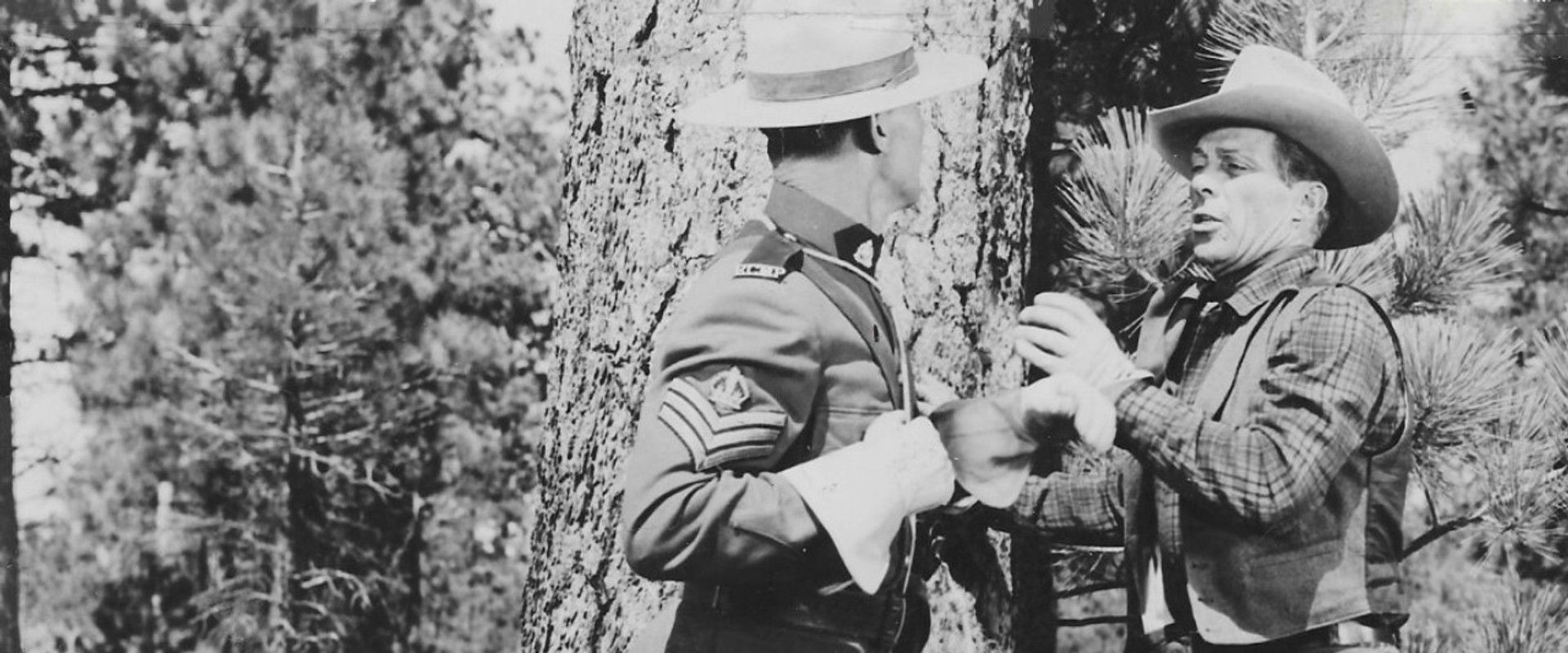 Perils of the Wilderness backdrop