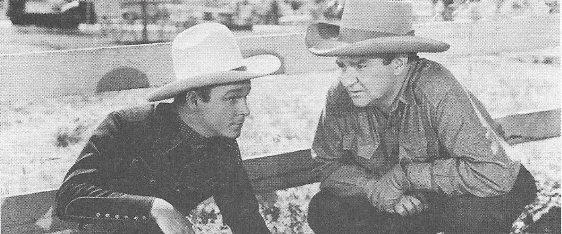 San Fernando Valley backdrop