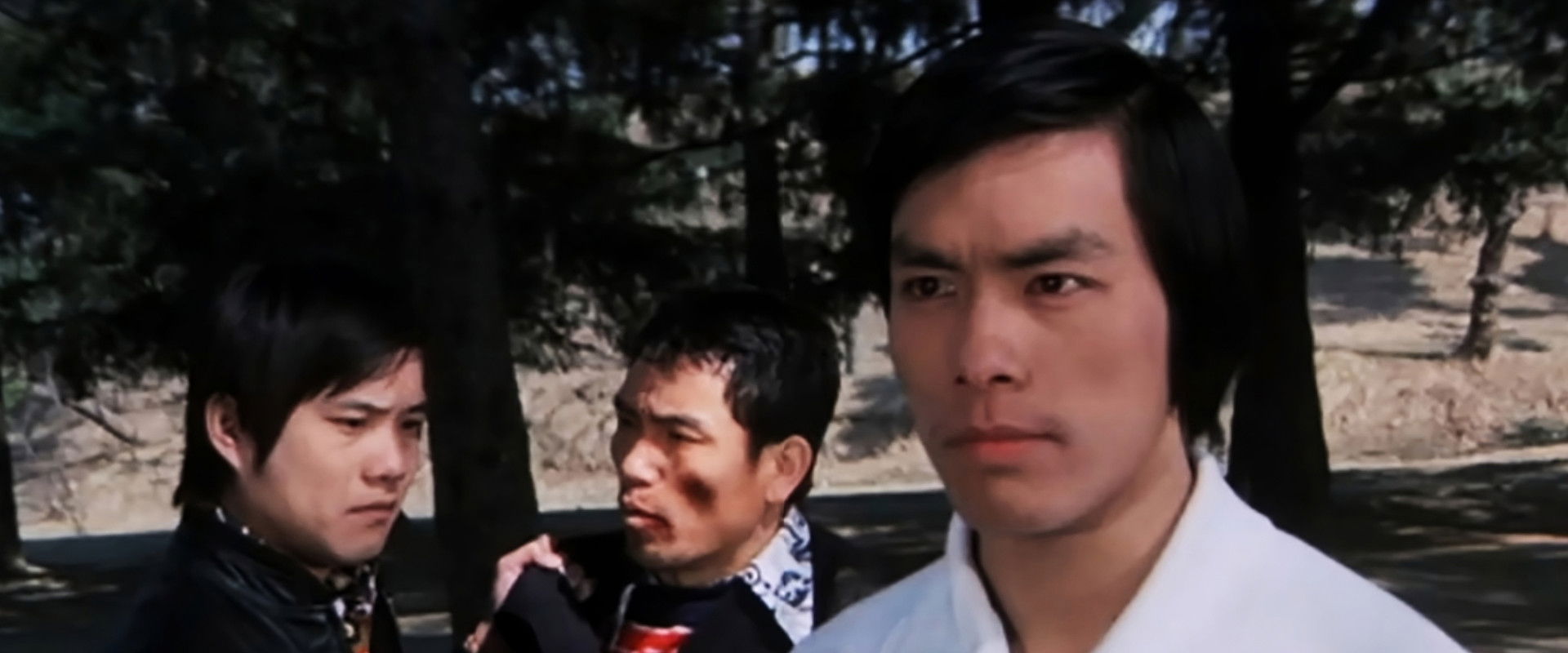 The Dragon Tamers backdrop