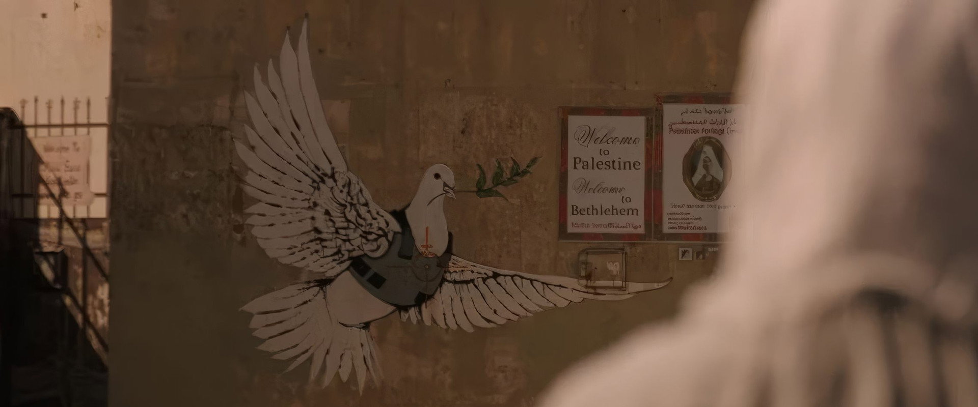 Where Olive Trees Weep backdrop