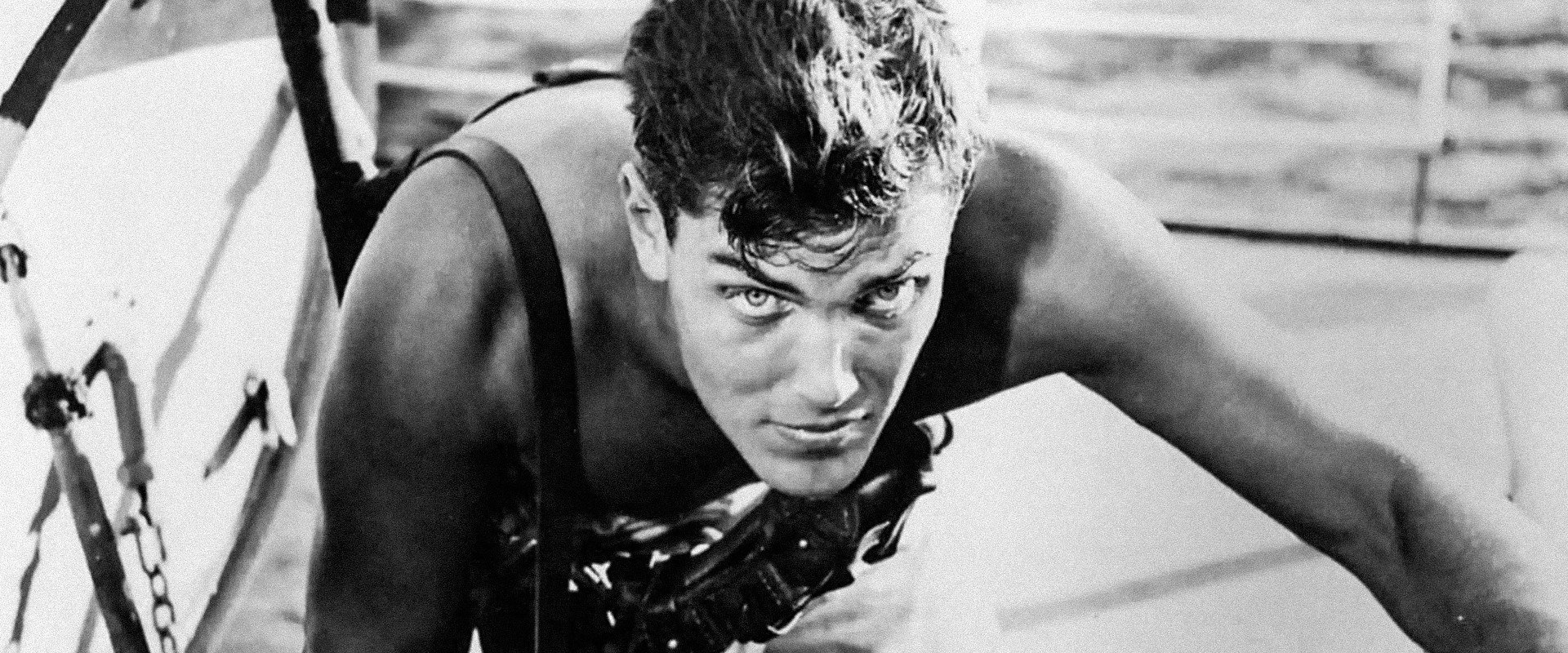 Sailor of the King backdrop