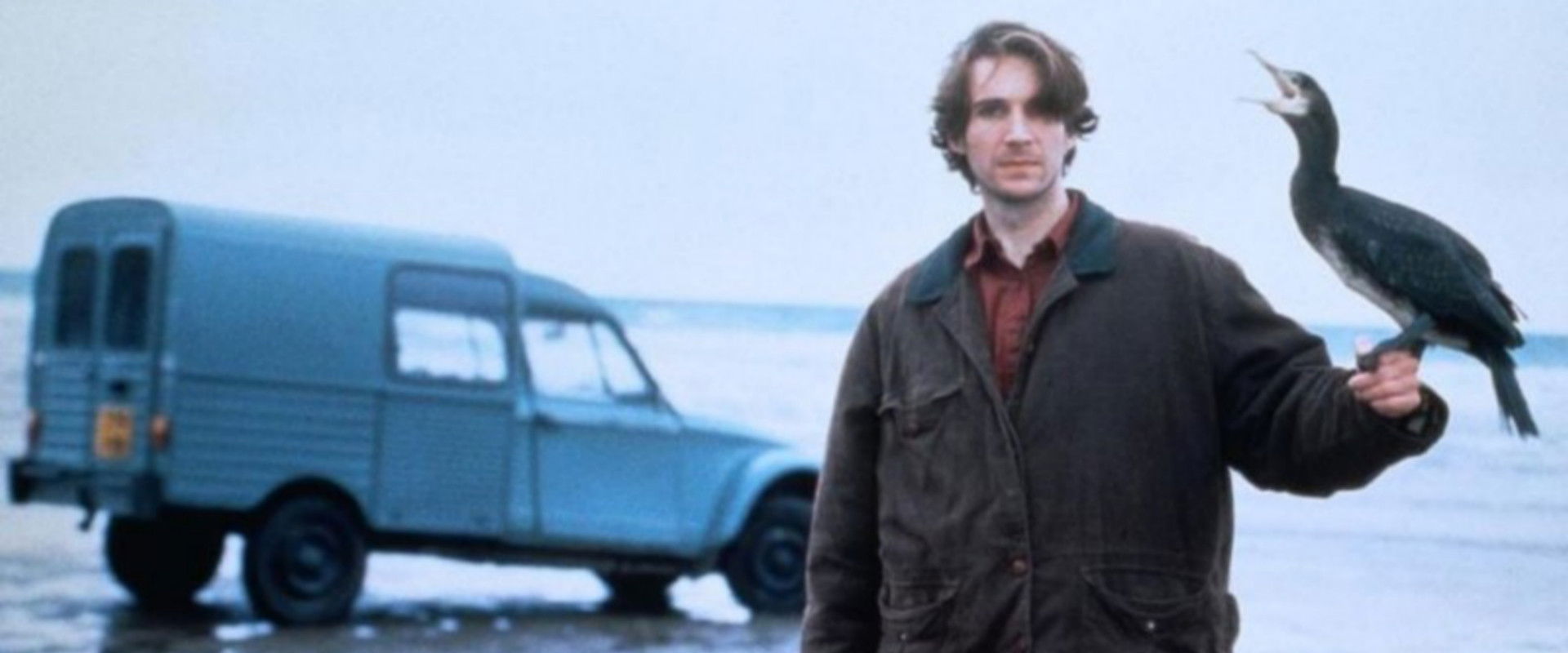 The Cormorant backdrop