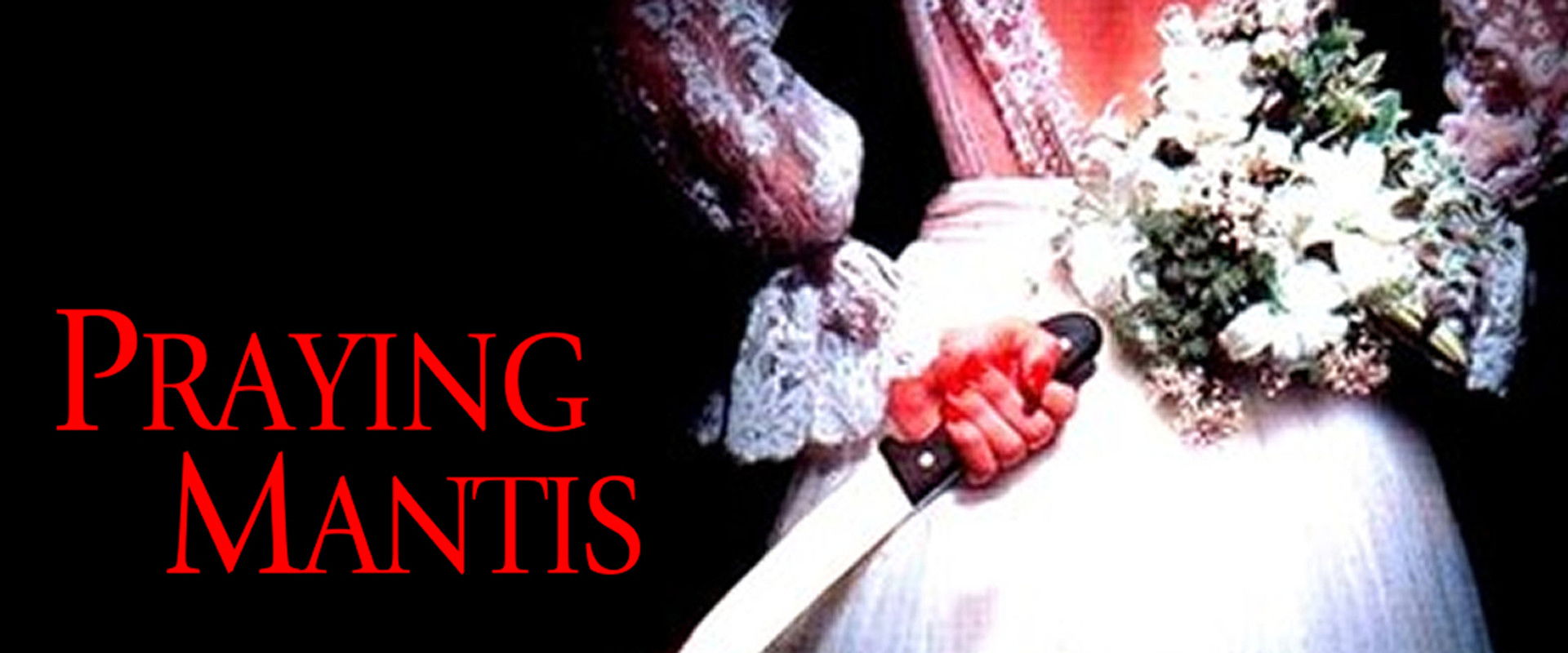 Praying Mantis backdrop