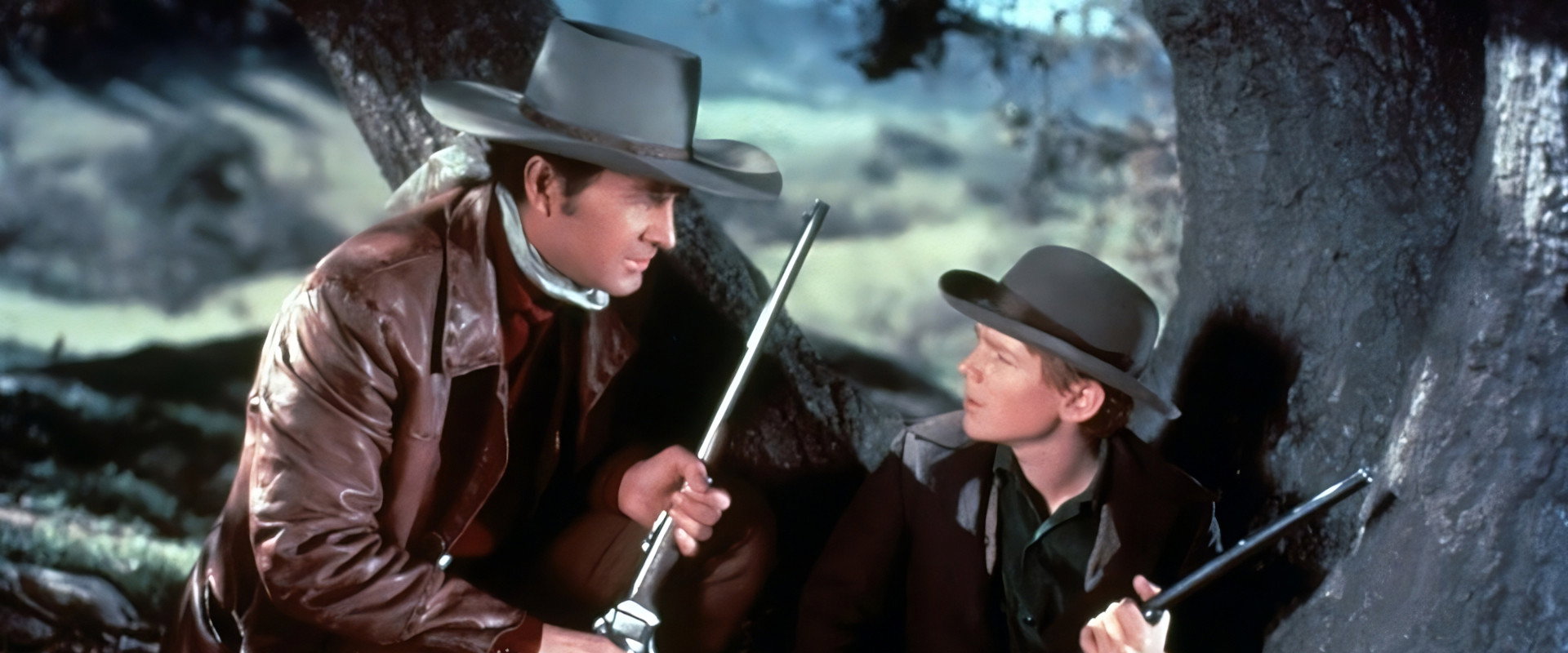 Westward Ho, The Wagons! backdrop