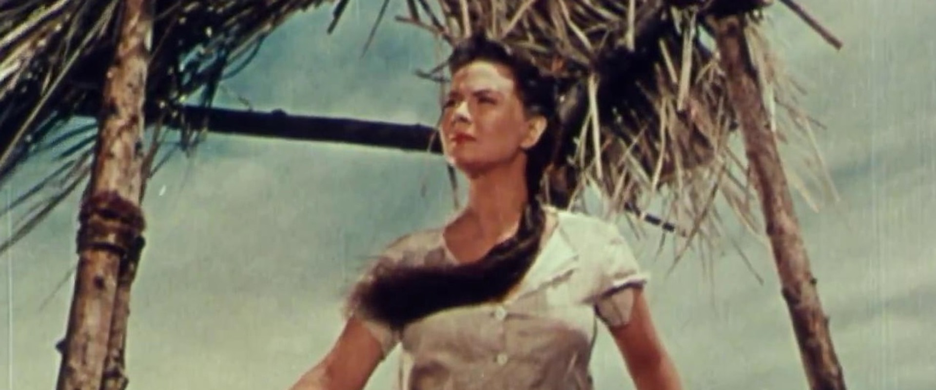 El último perro backdrop