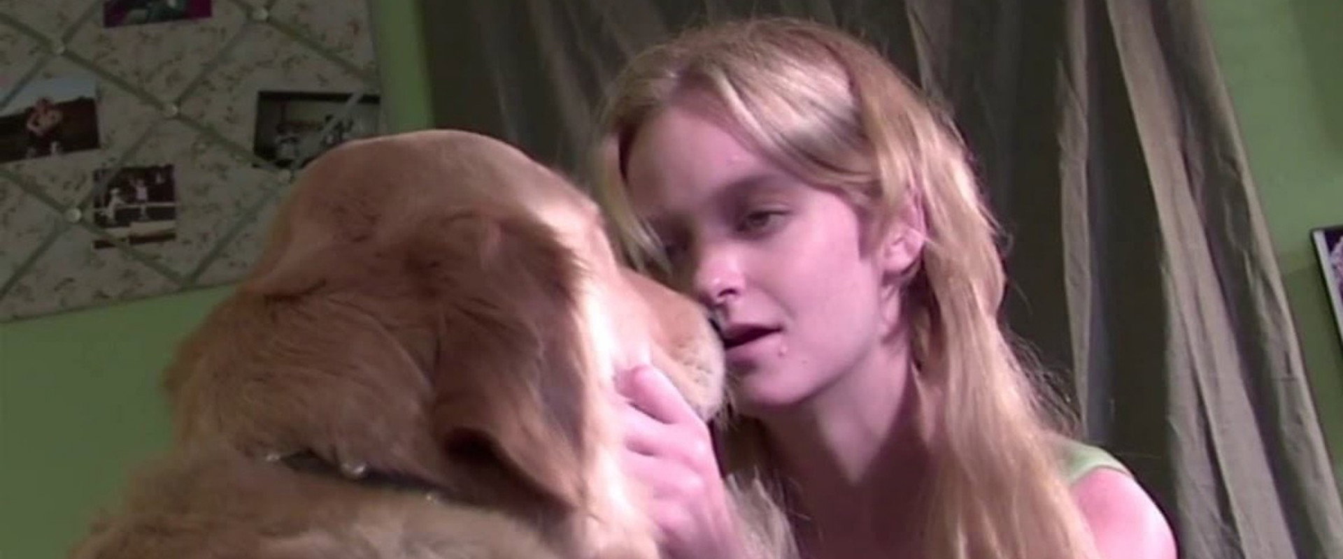 Love on a Leash backdrop