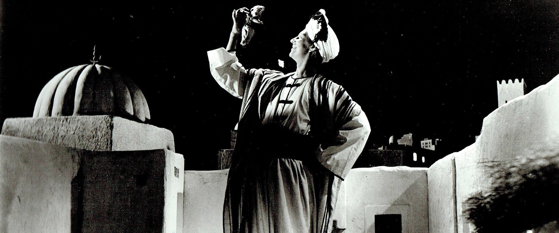 The Wonders of Aladdin backdrop