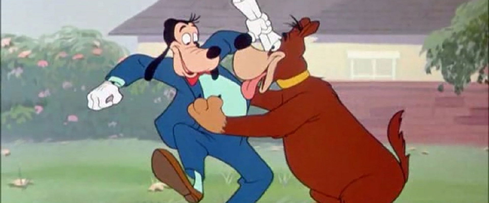 Man's Best Friend backdrop