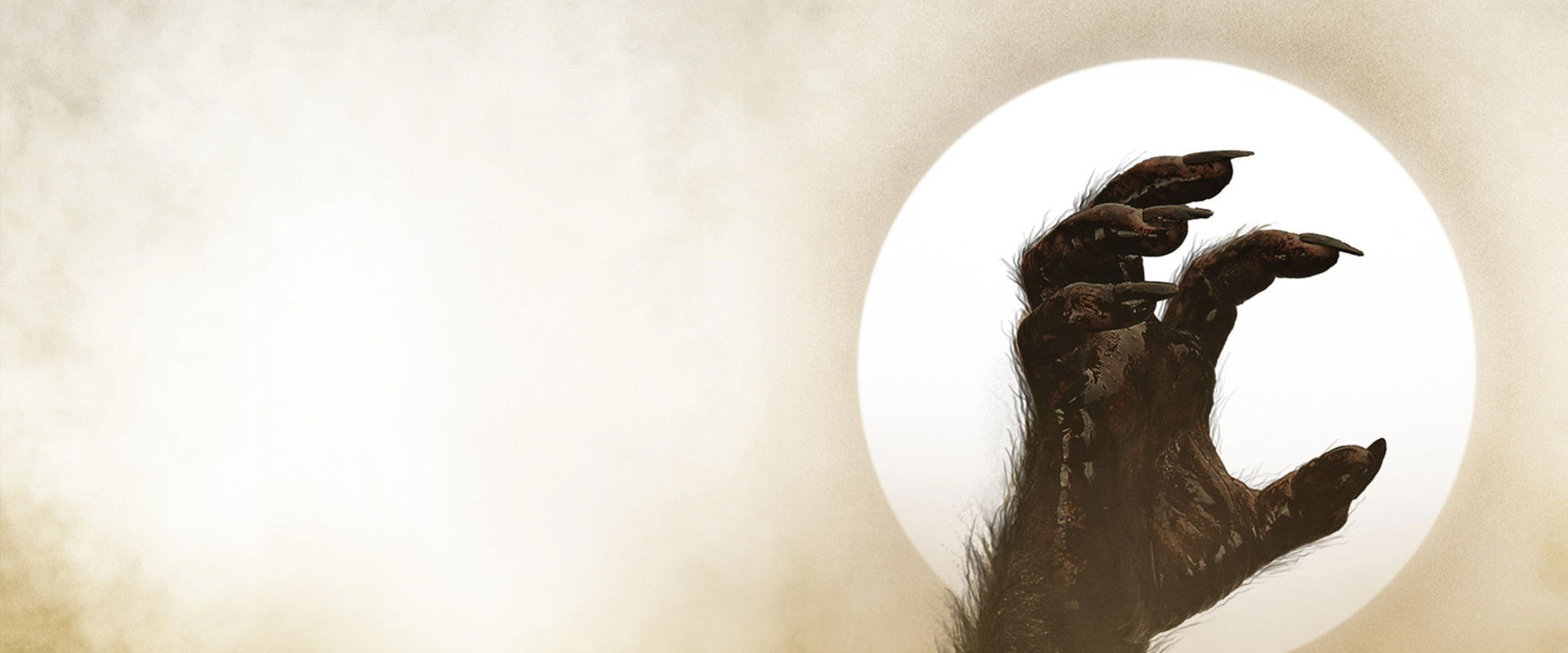 Silver Bullet backdrop