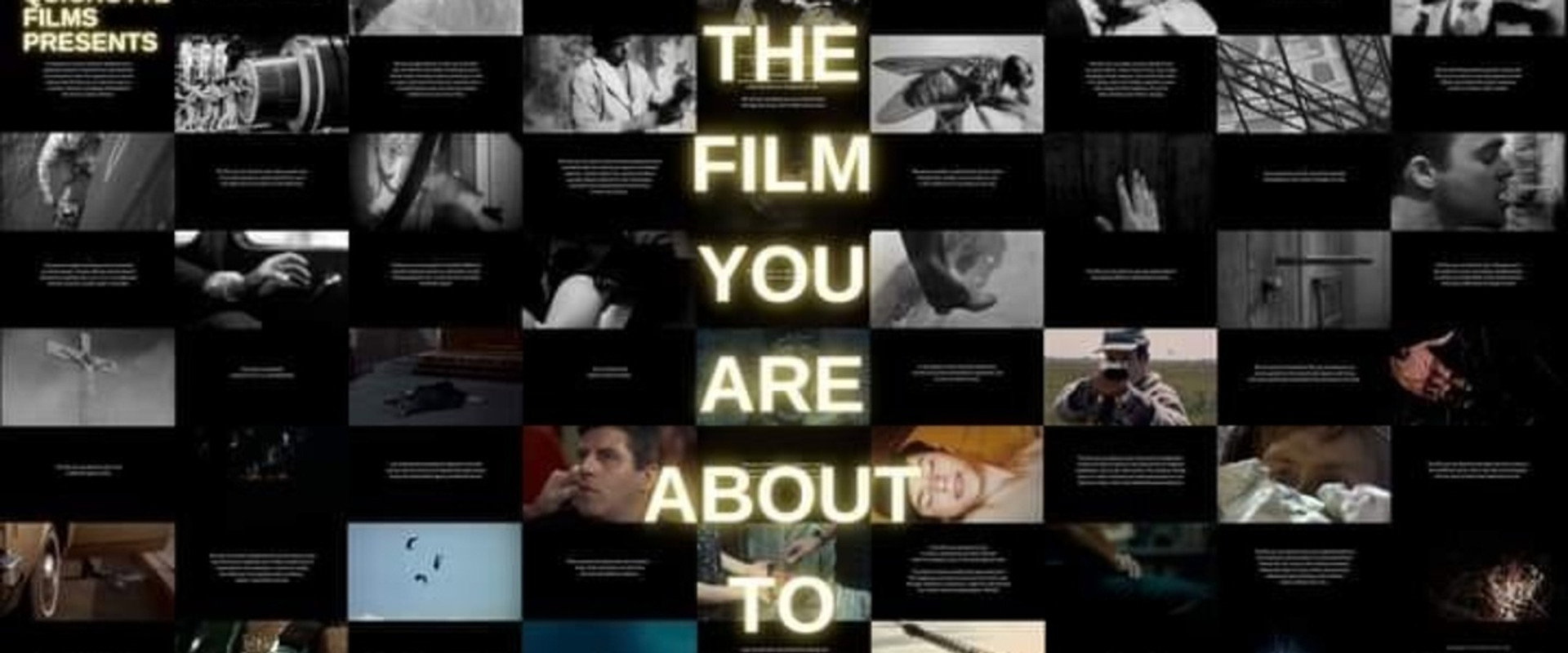 The Film You Are About to See backdrop