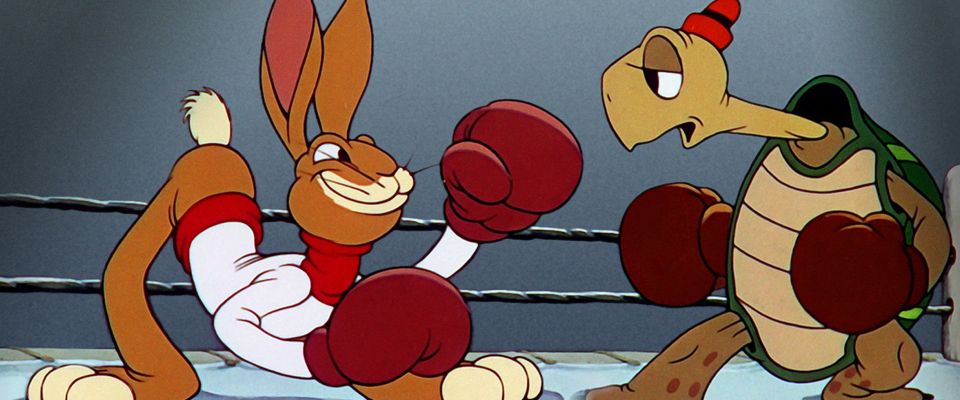 Toby Tortoise Returns backdrop