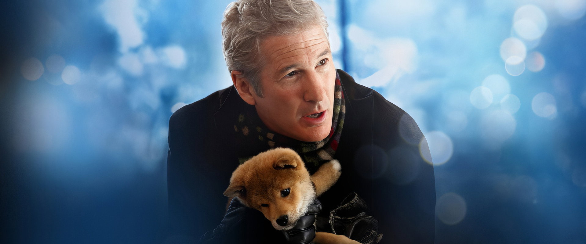Hachi: A Dog's Tale backdrop