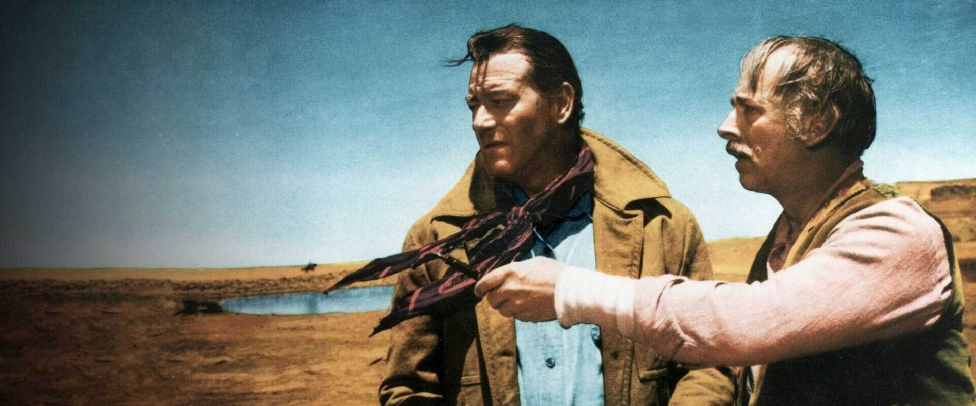 The Searchers backdrop