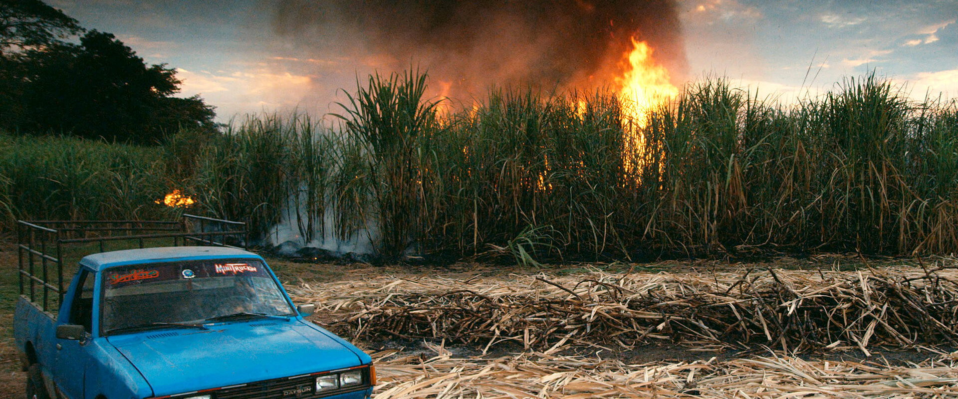 This Changes Everything backdrop