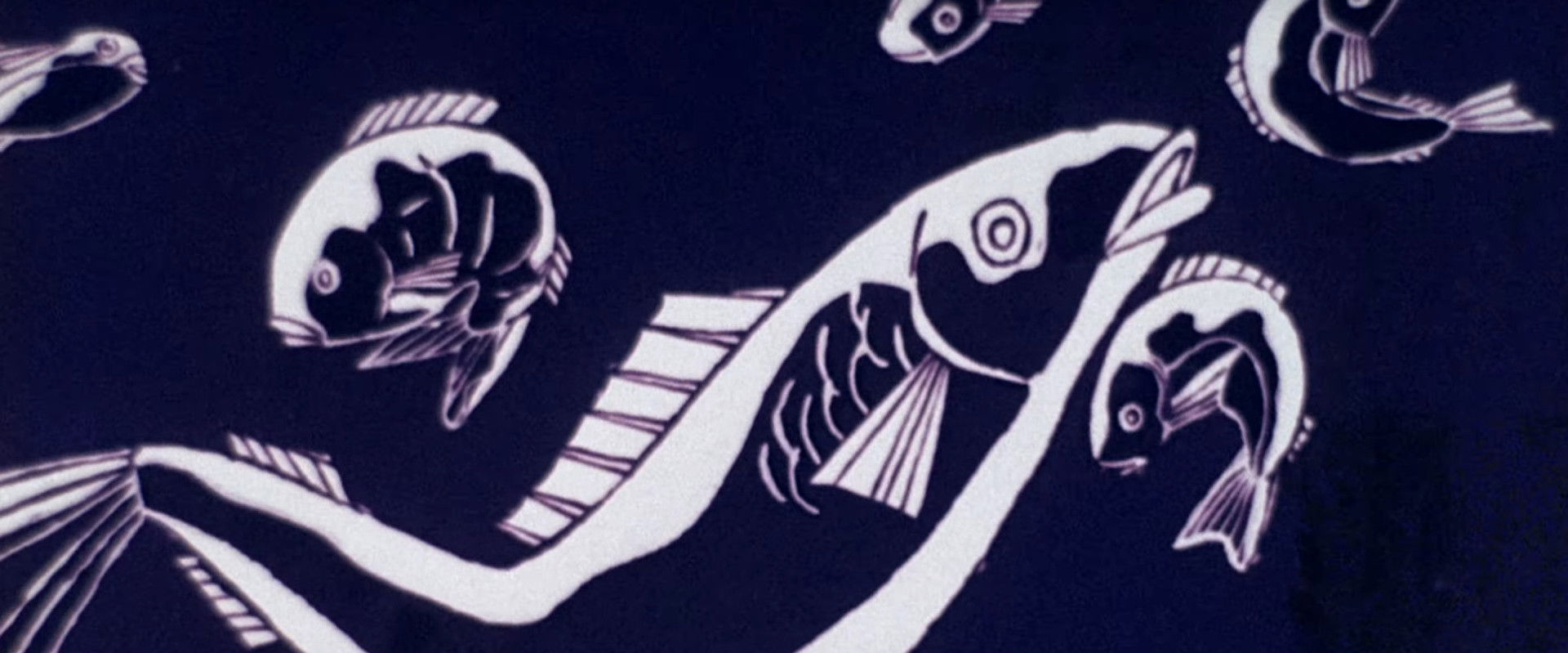 The Little Flying Fish Gets Sick backdrop