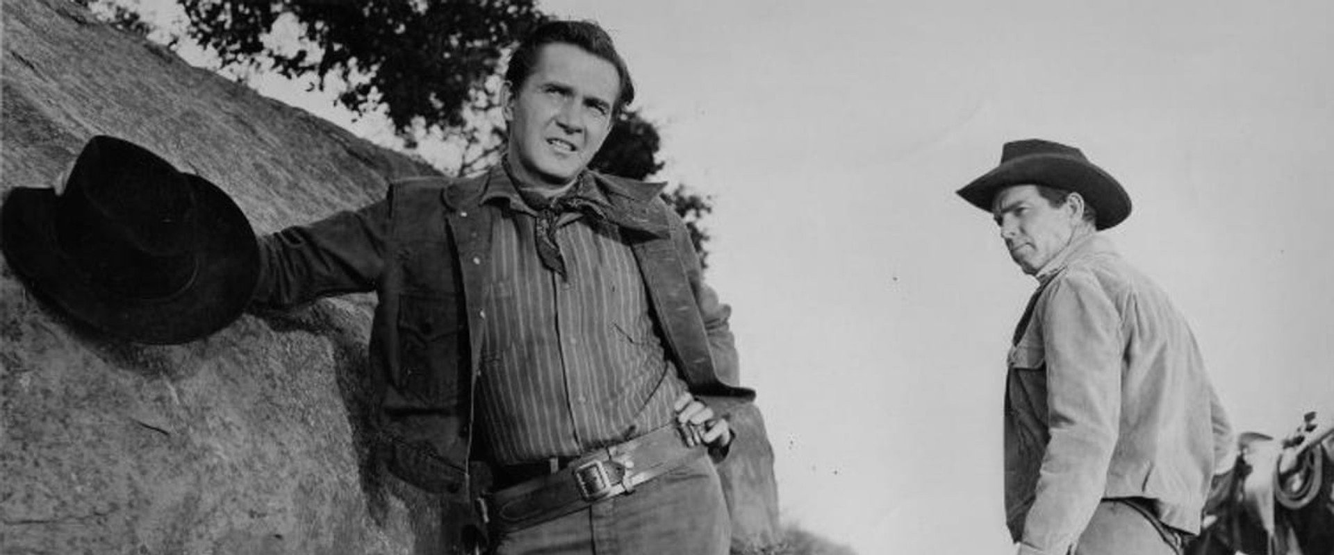 Face of a Fugitive backdrop