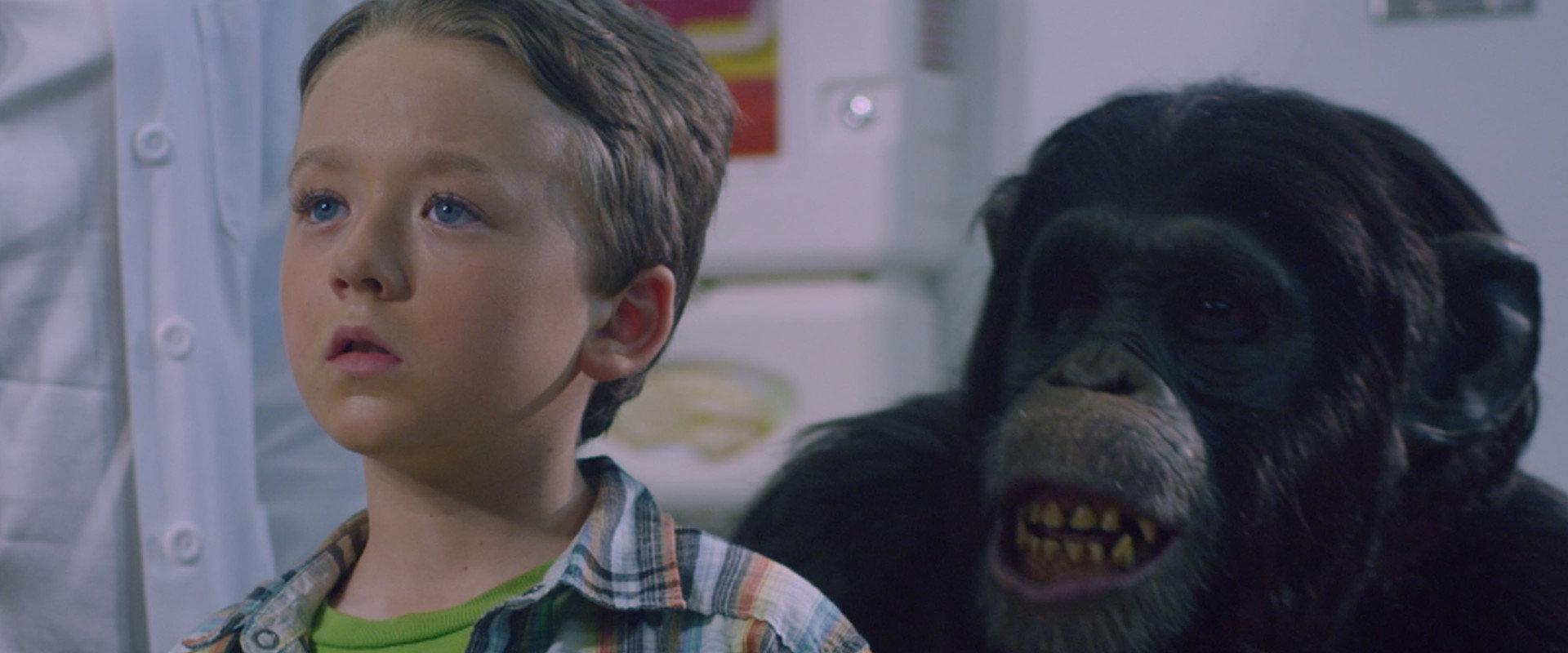 Amazing Ape backdrop