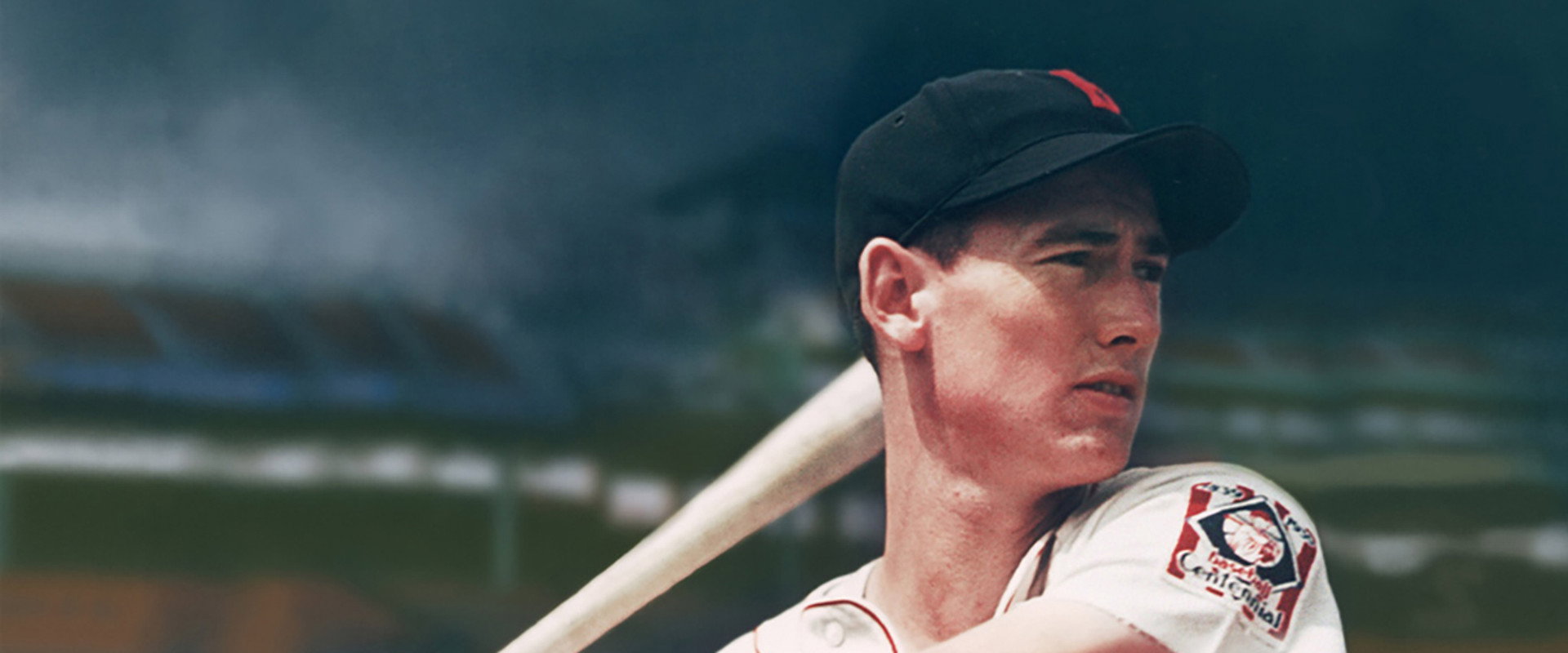 Ted Williams backdrop