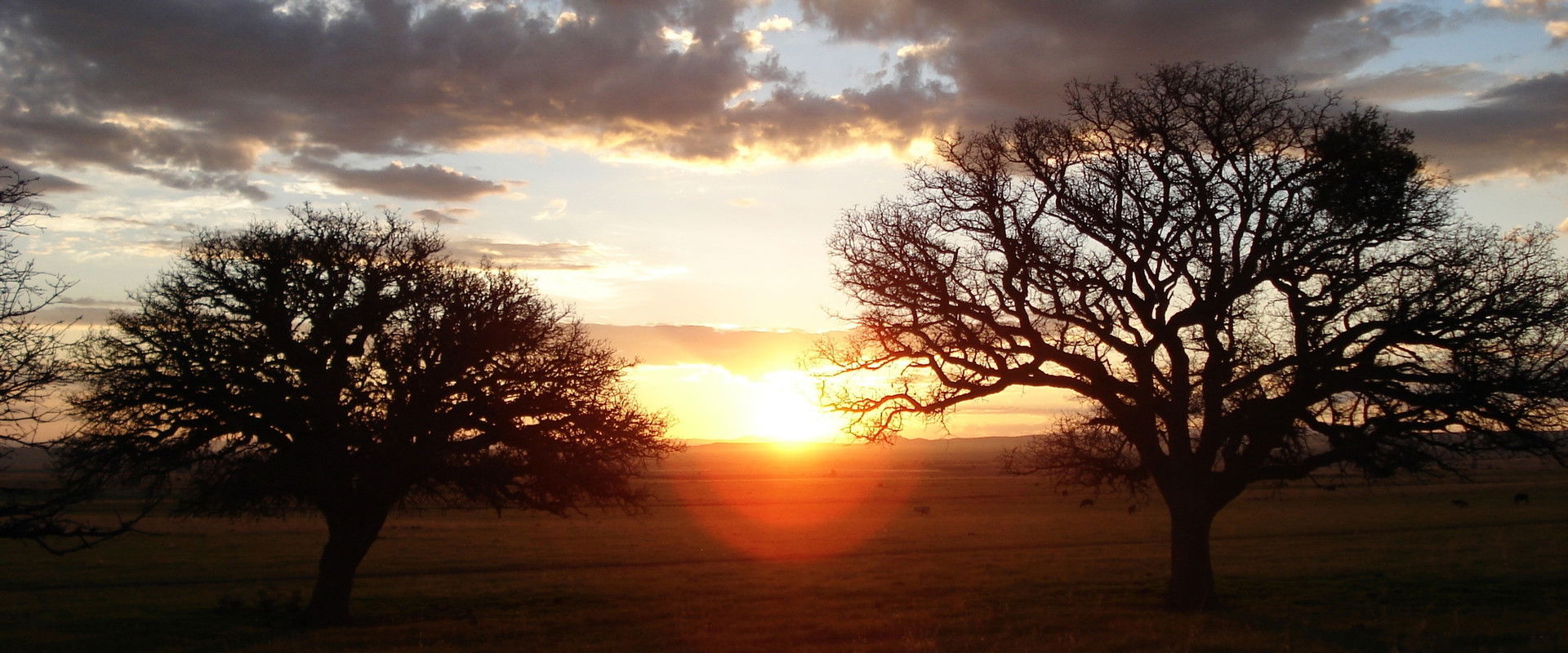 Silent Light backdrop