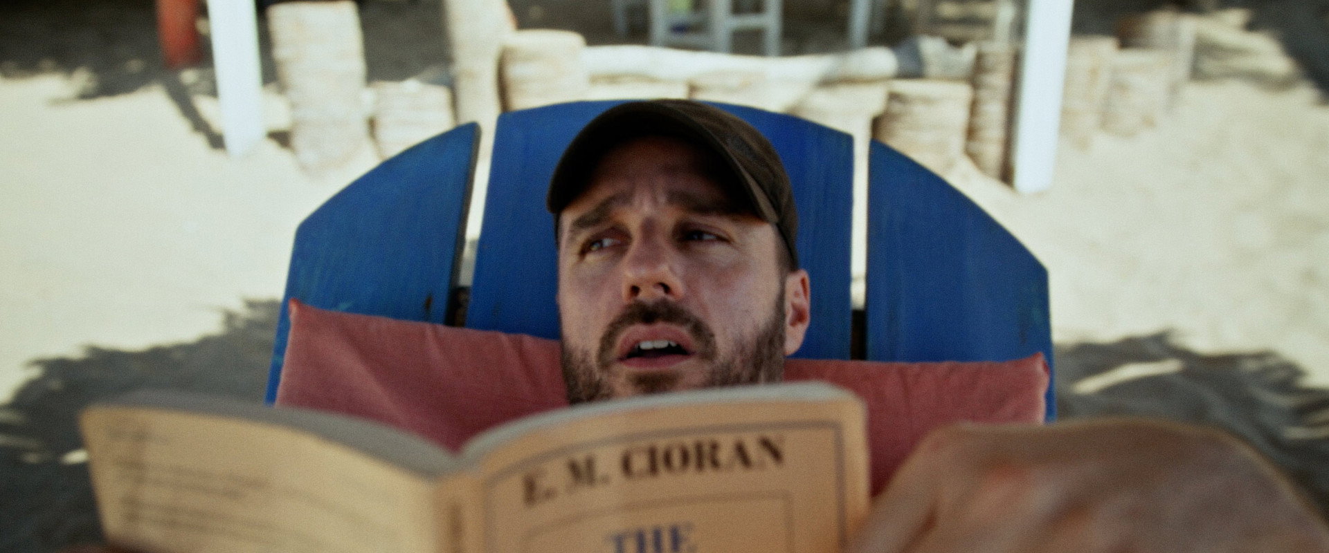 Rotting in the Sun backdrop