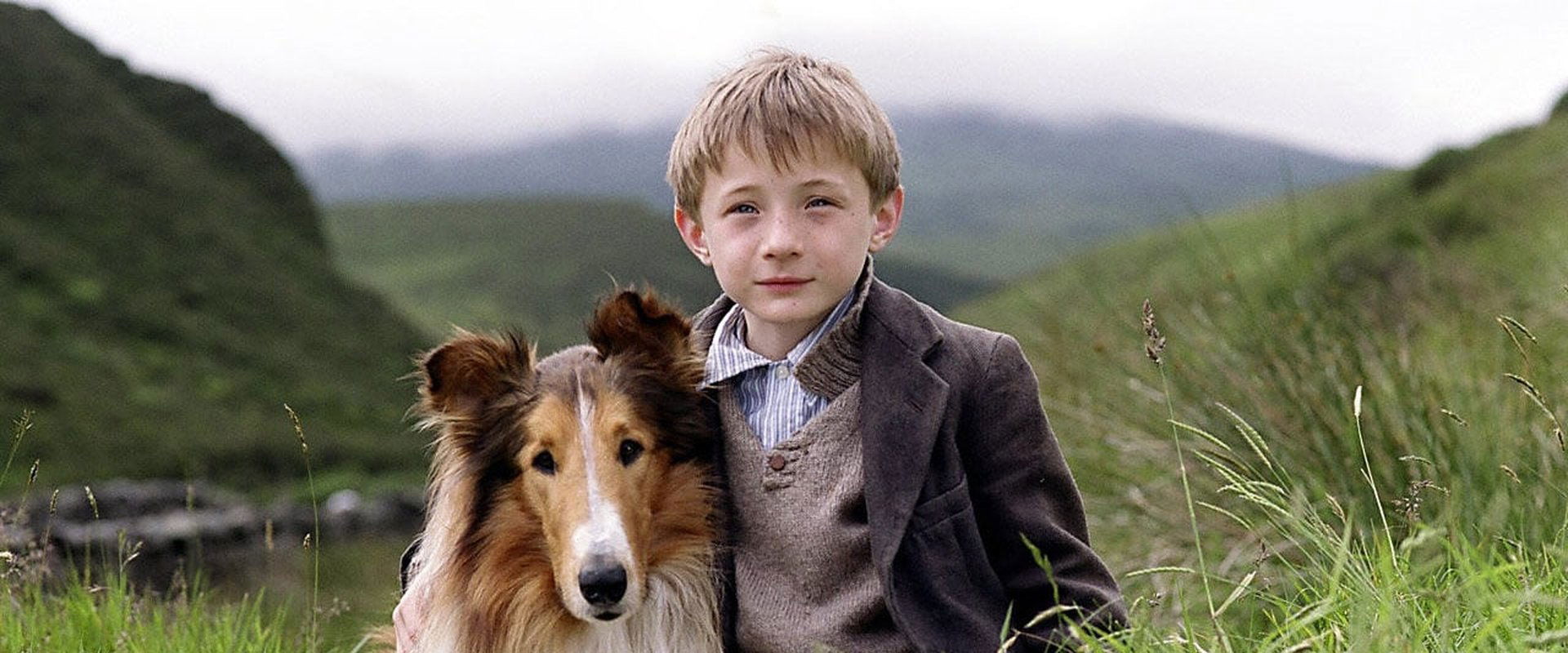 Lassie backdrop