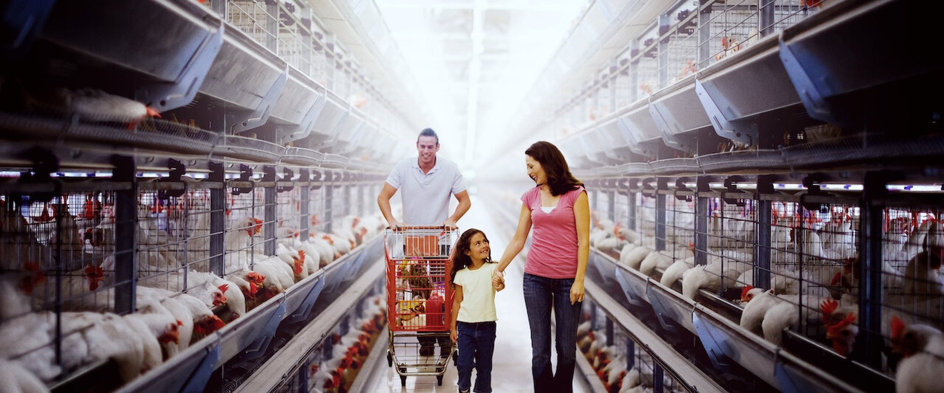 Poisoned: The Dirty Truth About Your Food
