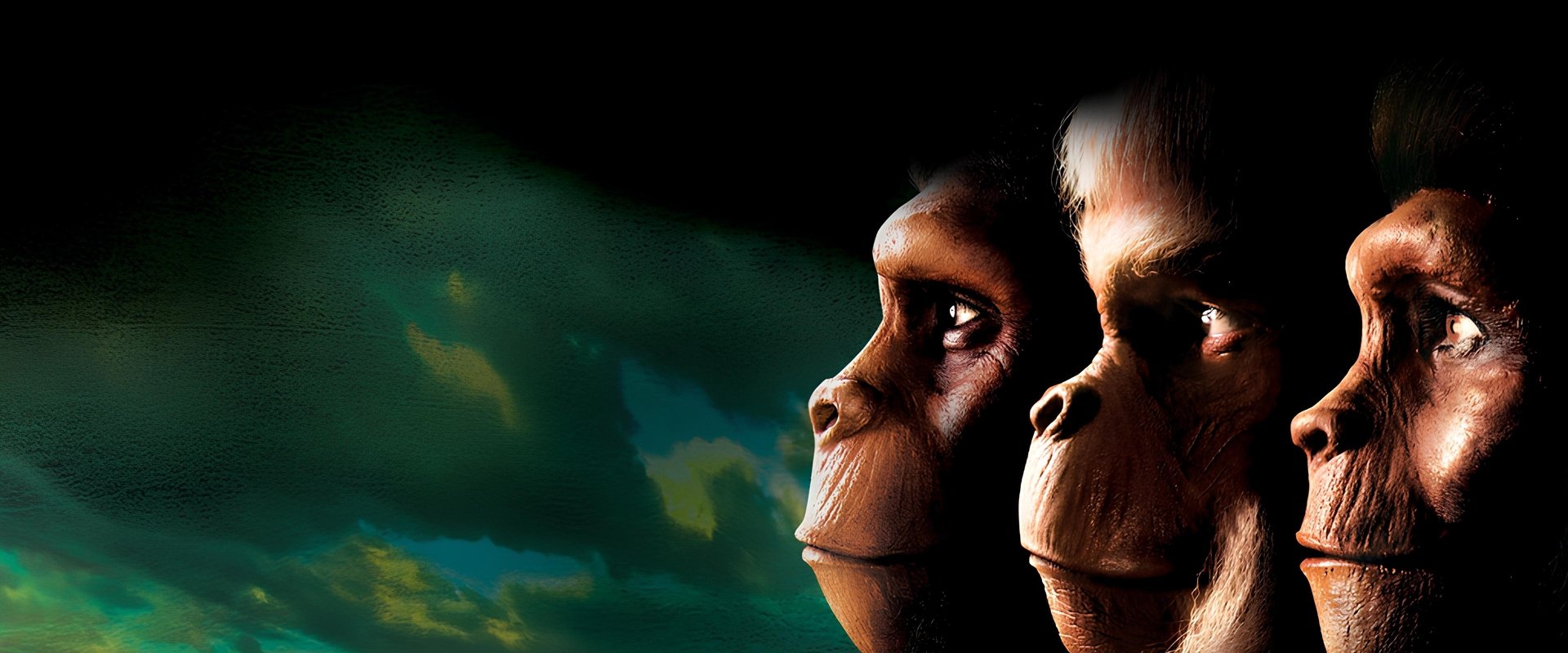 Planet of the Apes backdrop