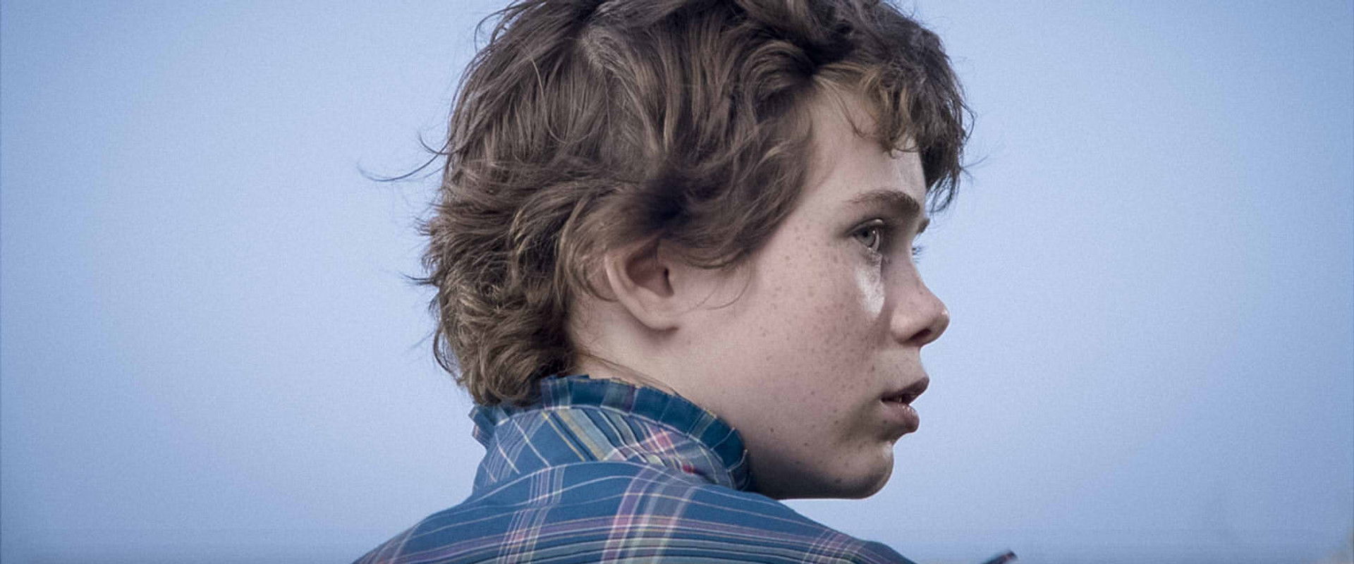 Tiny Mammals backdrop