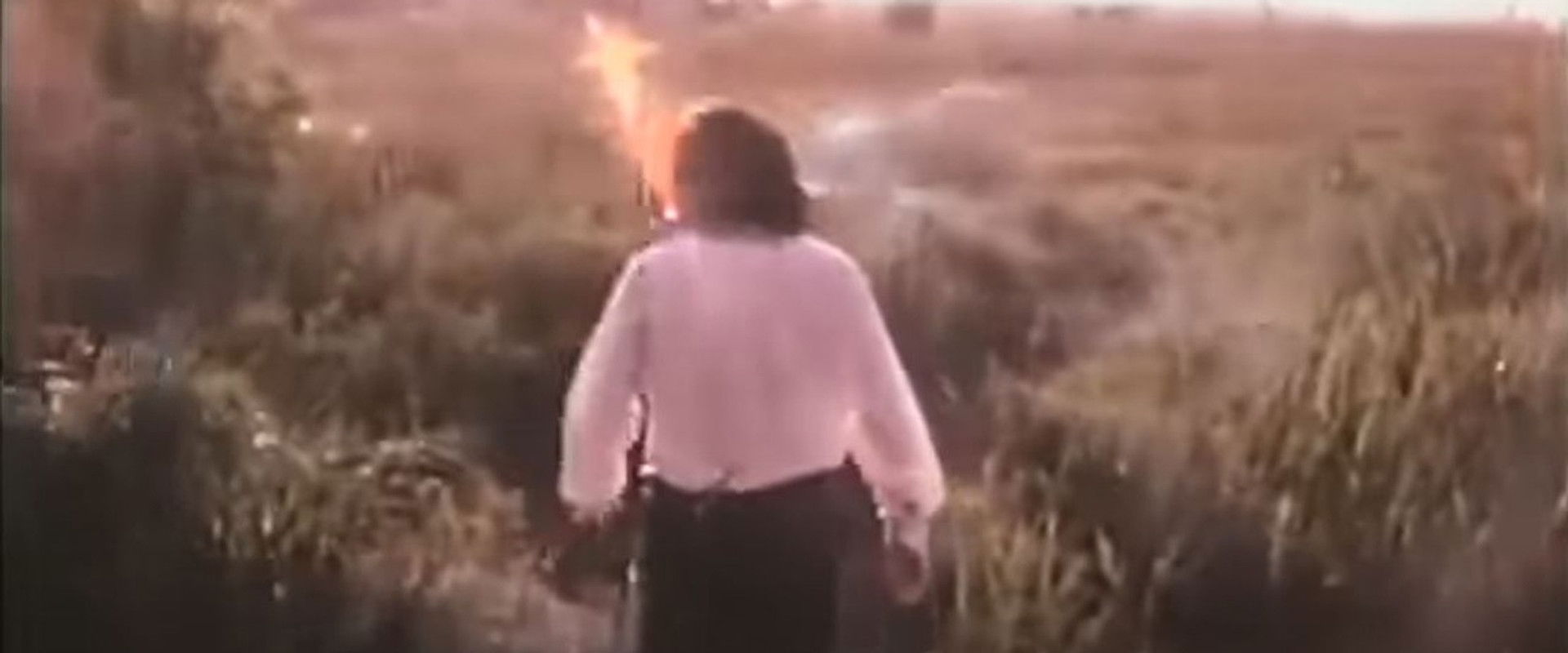 It Took Guts backdrop