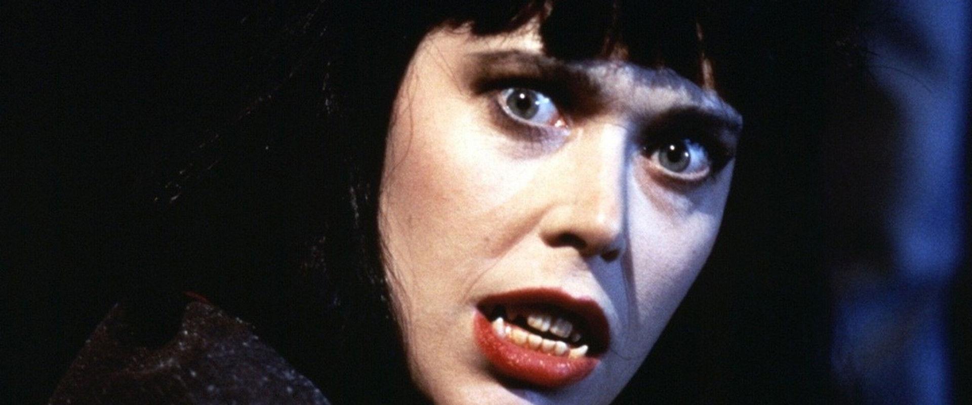 Dracula's Widow backdrop