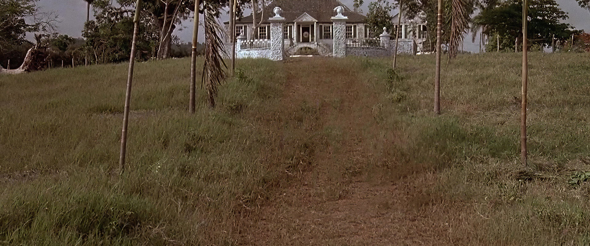Wide Sargasso Sea backdrop