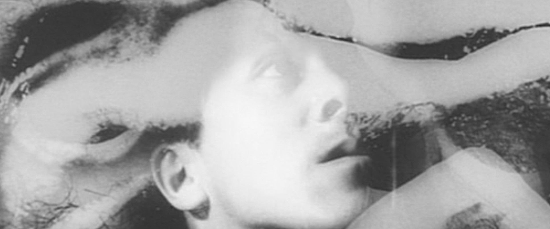 The Embryo Hunts in Secret backdrop