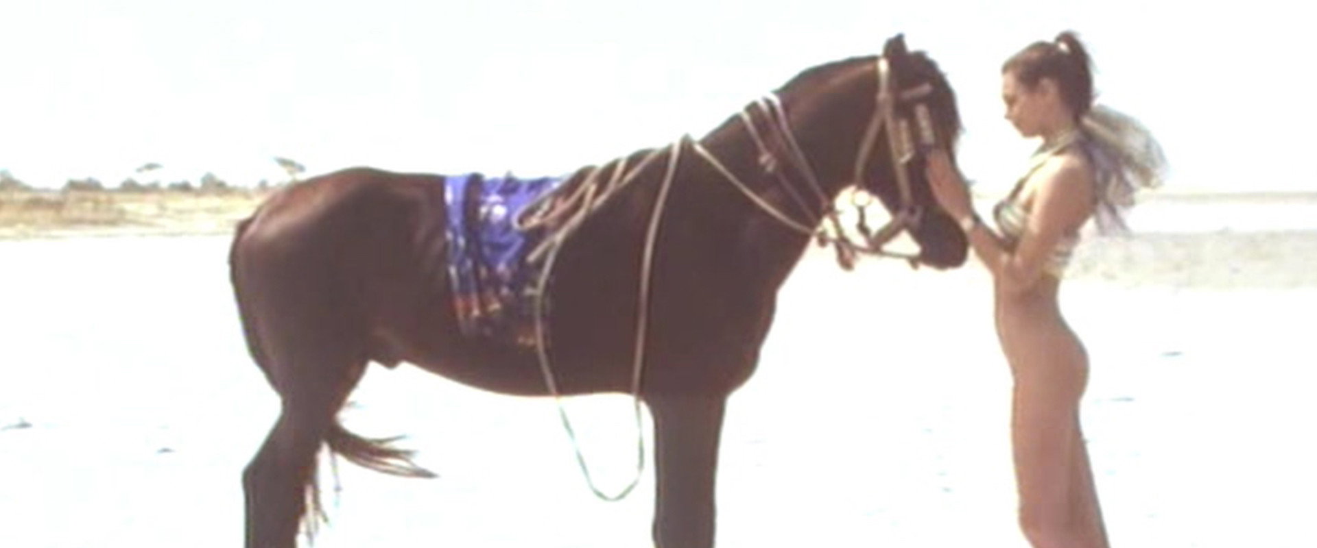 Joy in Africa backdrop