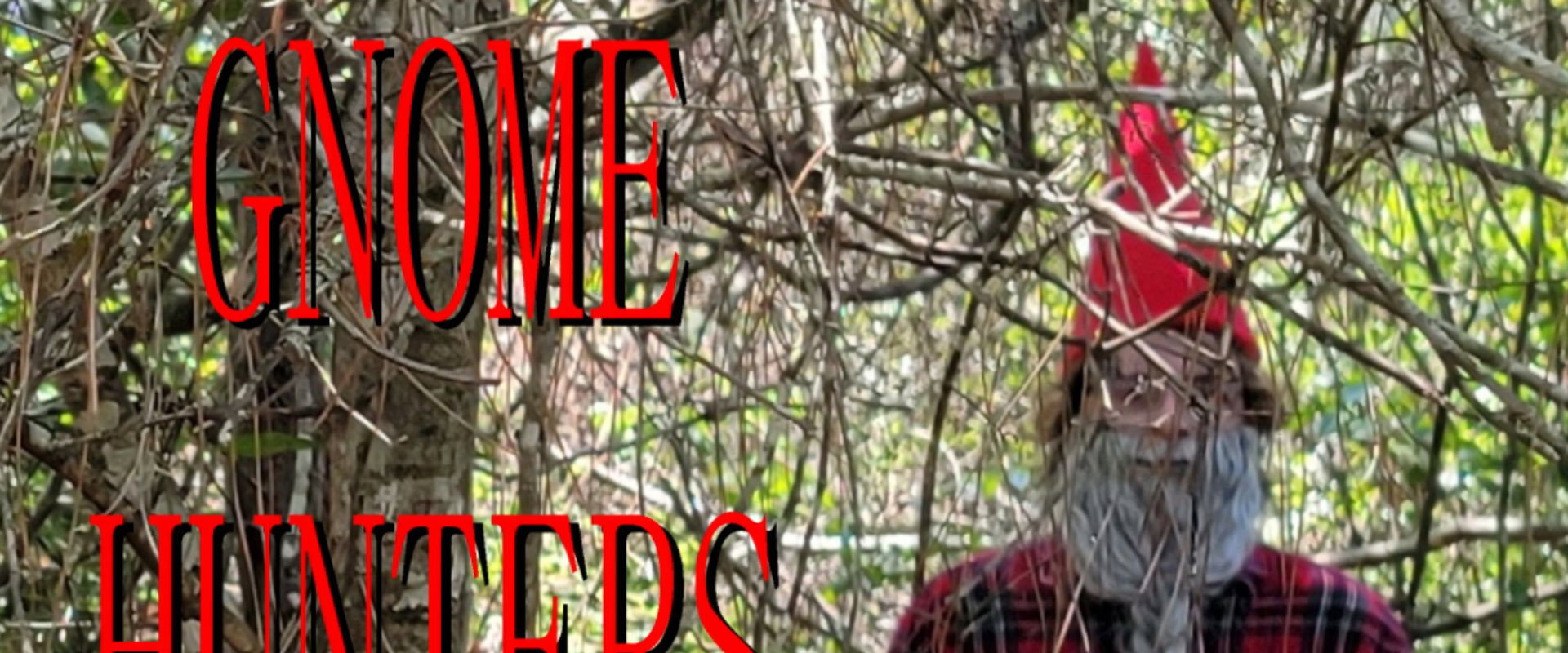 Gnome Hunters backdrop
