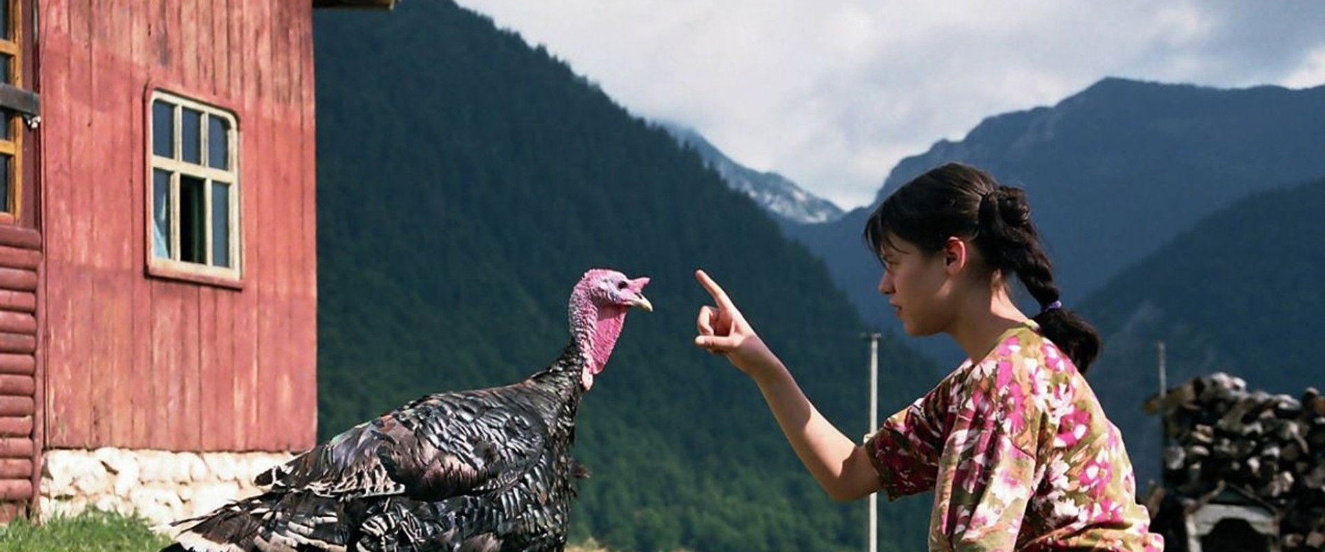 Lost and Found backdrop