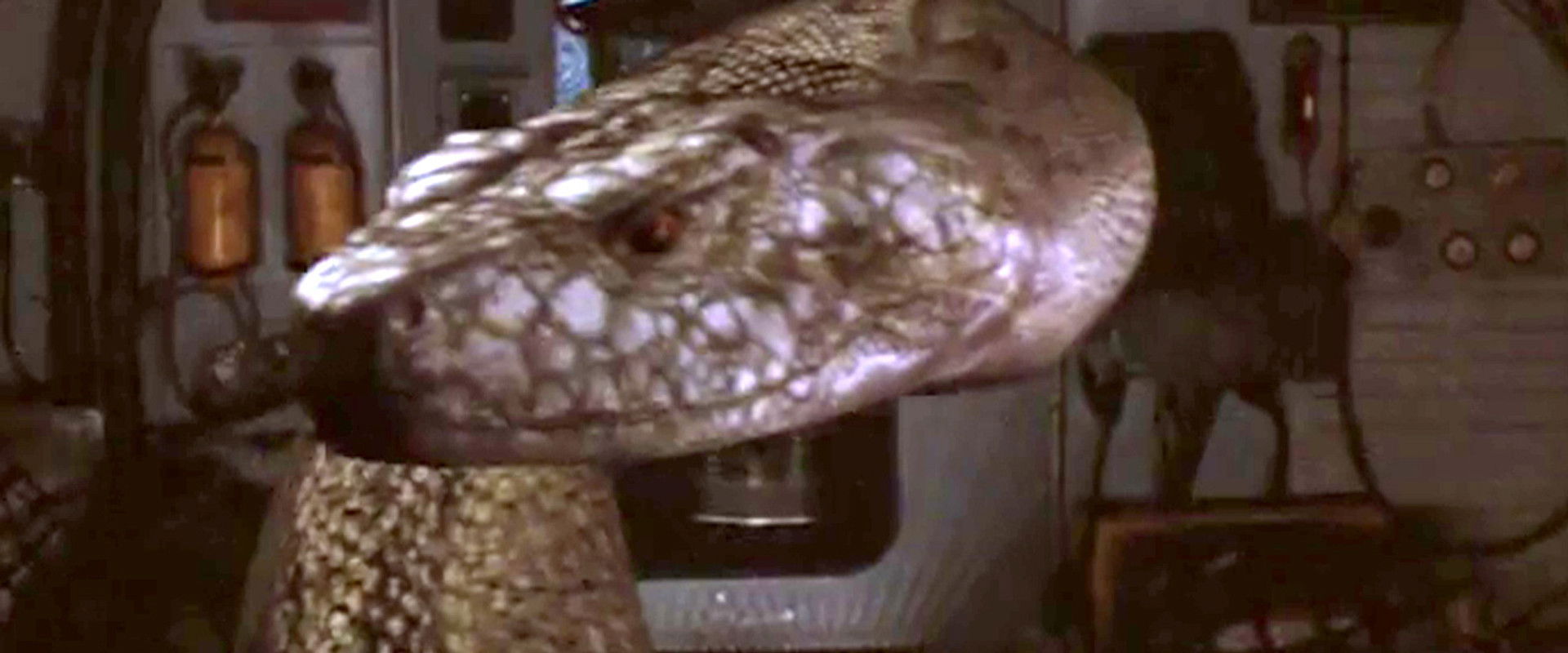 New Alcatraz backdrop